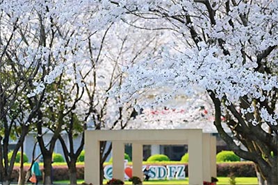 杭師大附中國際部2022年招生_錄取分數線