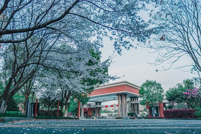 杭州英特外國語學(xué)校學(xué)費(fèi)一年多少錢？