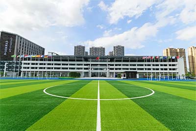 杭州橄欖樹學校2022年4月入學考試考情