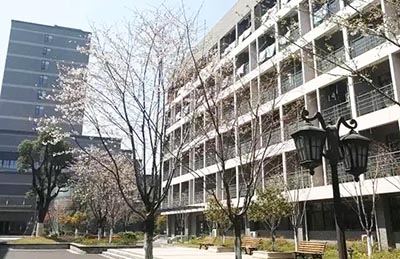 杭州第四中學國際部2022年招生辦法發布