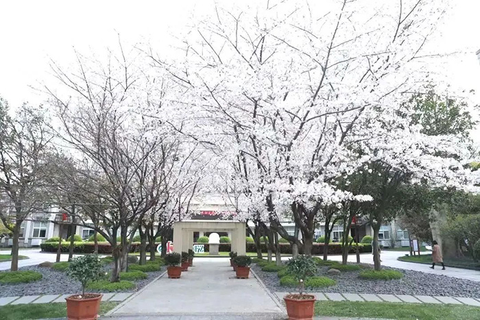 杭州師范大學(xué)附屬中學(xué)國際部簡介