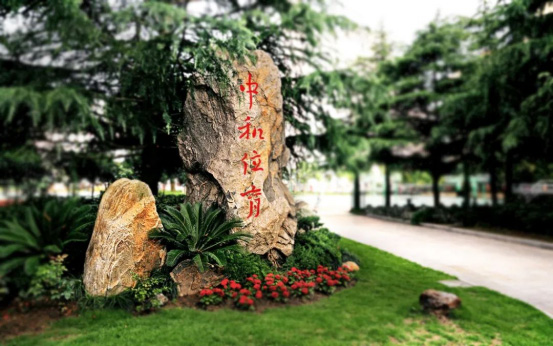 上海學費低于15萬的國際高中盤點，性價比極高