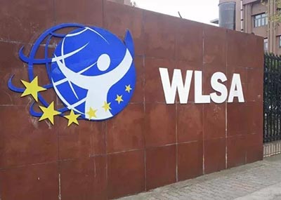2024年WLSA上海學(xué)校春招考試試題回顧，難度大！