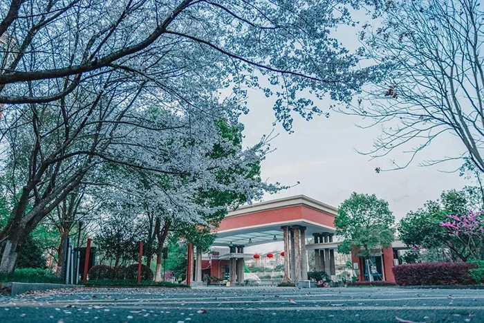 杭州英特外國(guó)語學(xué)校春招入學(xué)考試試題回顧