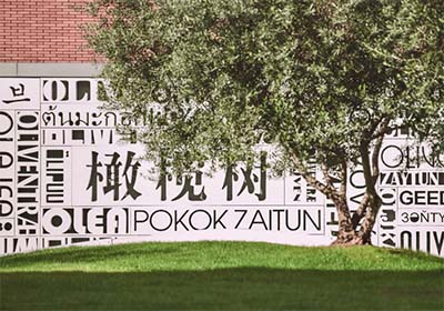 杭州橄欖樹學校2024年招生簡章，接連兩屆獲劍橋offer