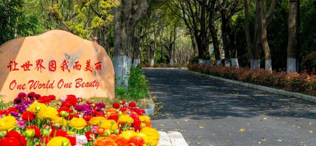 1722848940138770.jpg 3 上海籽奧高中2024年秋季開啟招生,學費23萬元年1.jpg