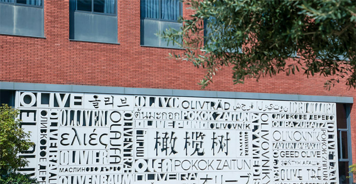 3 杭州民辦雙語國際學(xué)校小學(xué)2025年招生簡章1.jpg